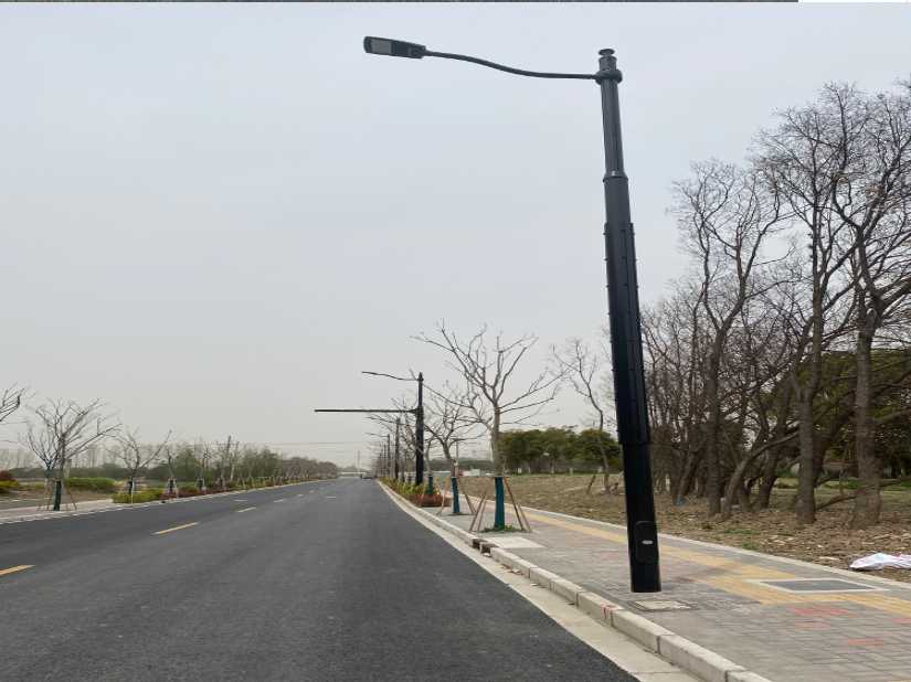 蒸湘区上海综合杆 太阳能路灯工程
